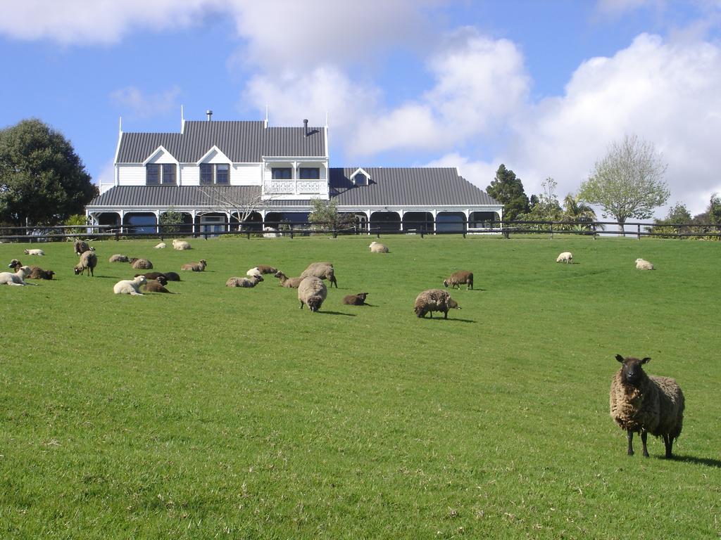 Country Homestead At Black Sheep Farm Waipu Exteriör bild