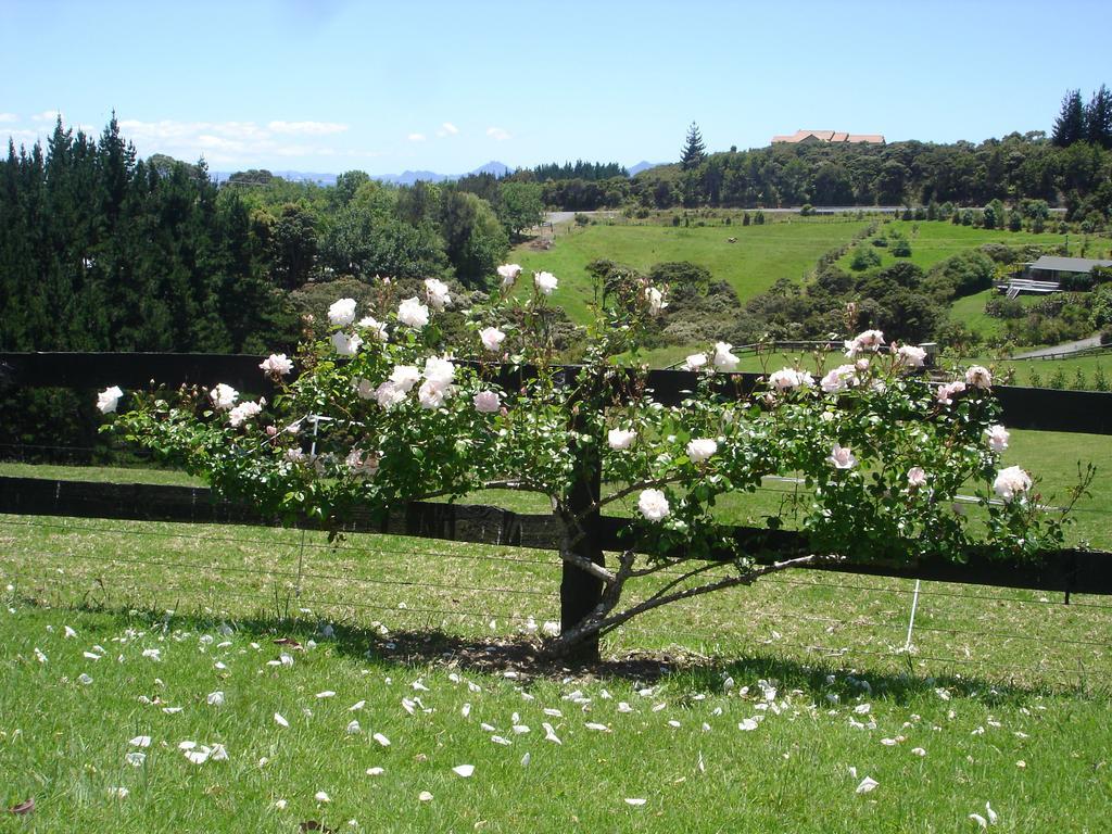Country Homestead At Black Sheep Farm Waipu Exteriör bild